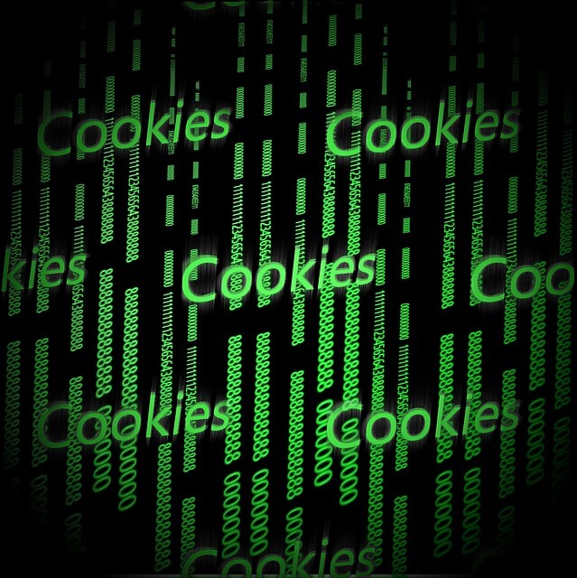 Cookies vs. Datenschutz – Warum Cookies Datenschutzbeauftragten nicht schmecken?